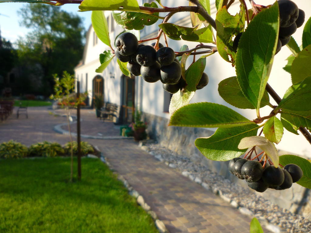 Aronia Park Villa Lubiechowa Exterior photo